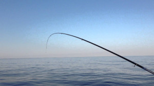 20^ Gara di Pesca al bolentino nel mare cristallino di Cirò Marina